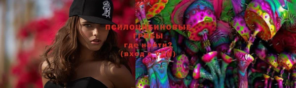 соль курить ск Бородино