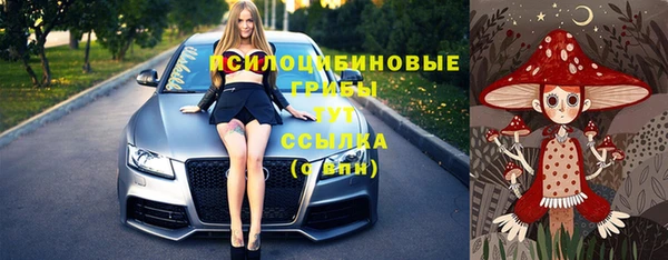 соль курить ск Бородино