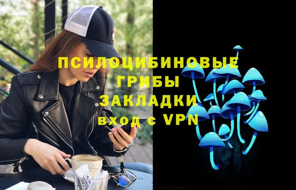 соль курить ск Бородино