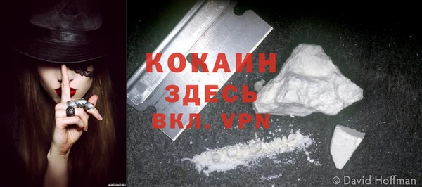 соль курить ск Бородино