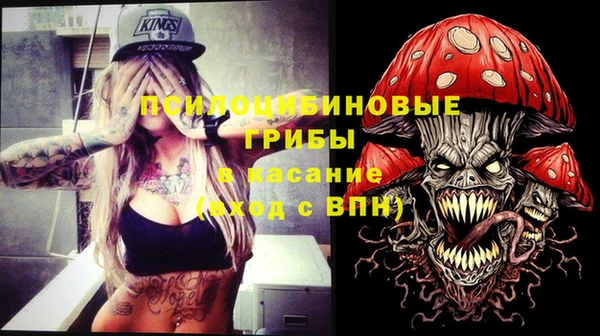 ПСИЛОЦИБИНОВЫЕ ГРИБЫ Бугульма
