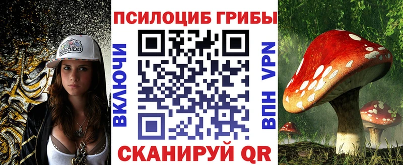 нарко площадка как зайти  Черкесск  Псилоцибиновые грибы GOLDEN TEACHER 